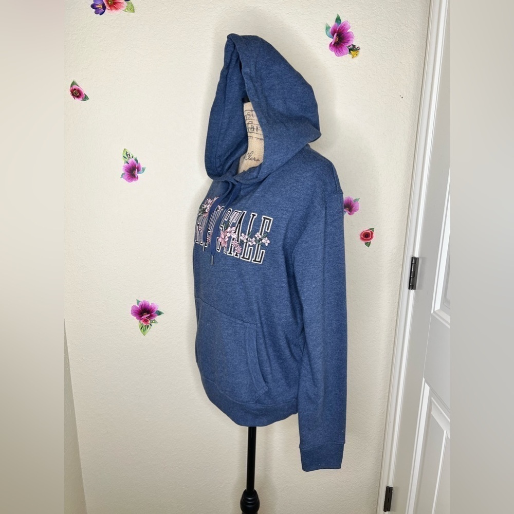 Aeropostale Embroidered Hooded Blue Gray Sweatshirt & Pants Size Large - Picture 4 of 16
